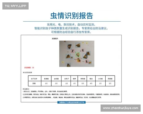 方舟手游极速升级秘籍:省时又高效 方舟手游极速升级秘籍:省时又高效
